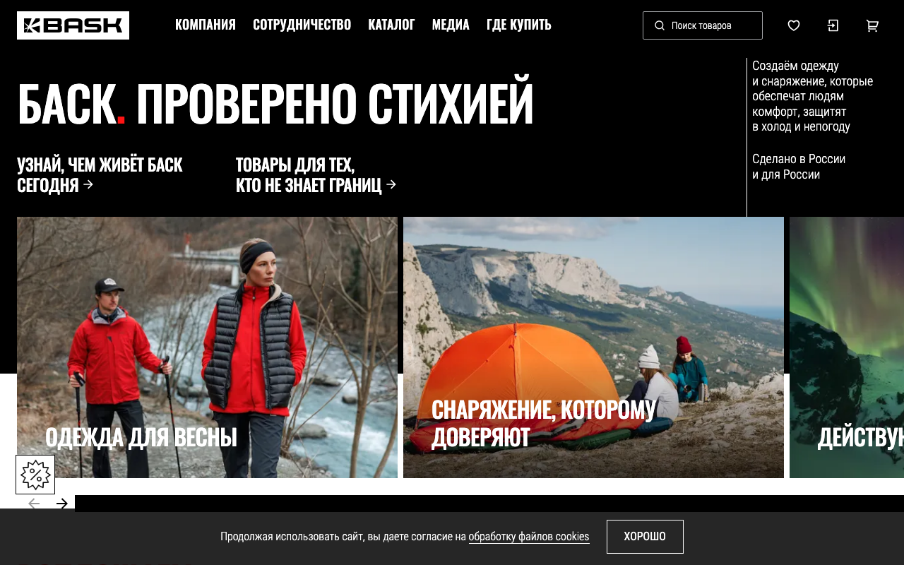 Скриншот сайта Баск (Bask)