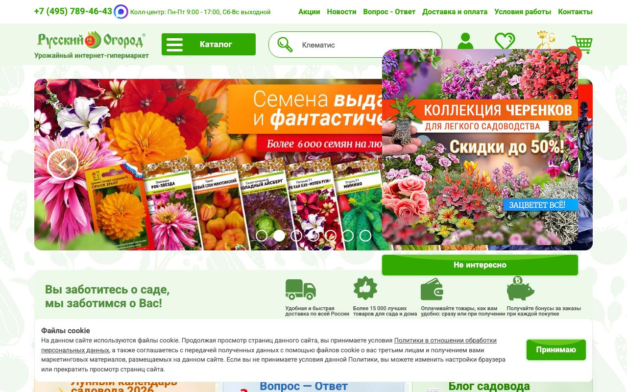 Скриншот сайта Энси Семена (NC Semena)